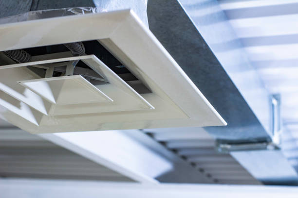 Best Ventilation Cleaning Services  in Loughman, FL