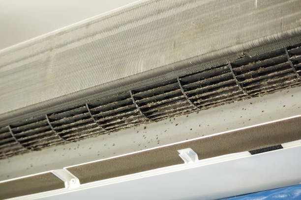 Best Professional Duct Cleaning Services  in Loughman, FL